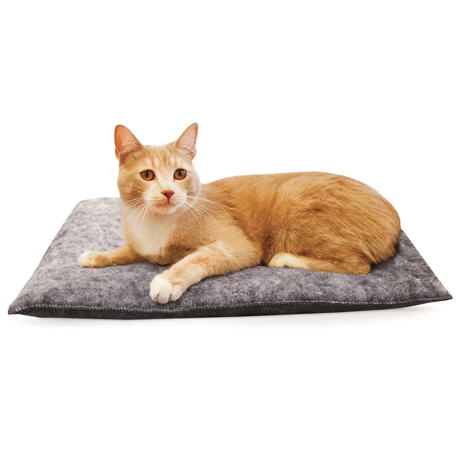 Amazin' Kitty Pad, 3-pack