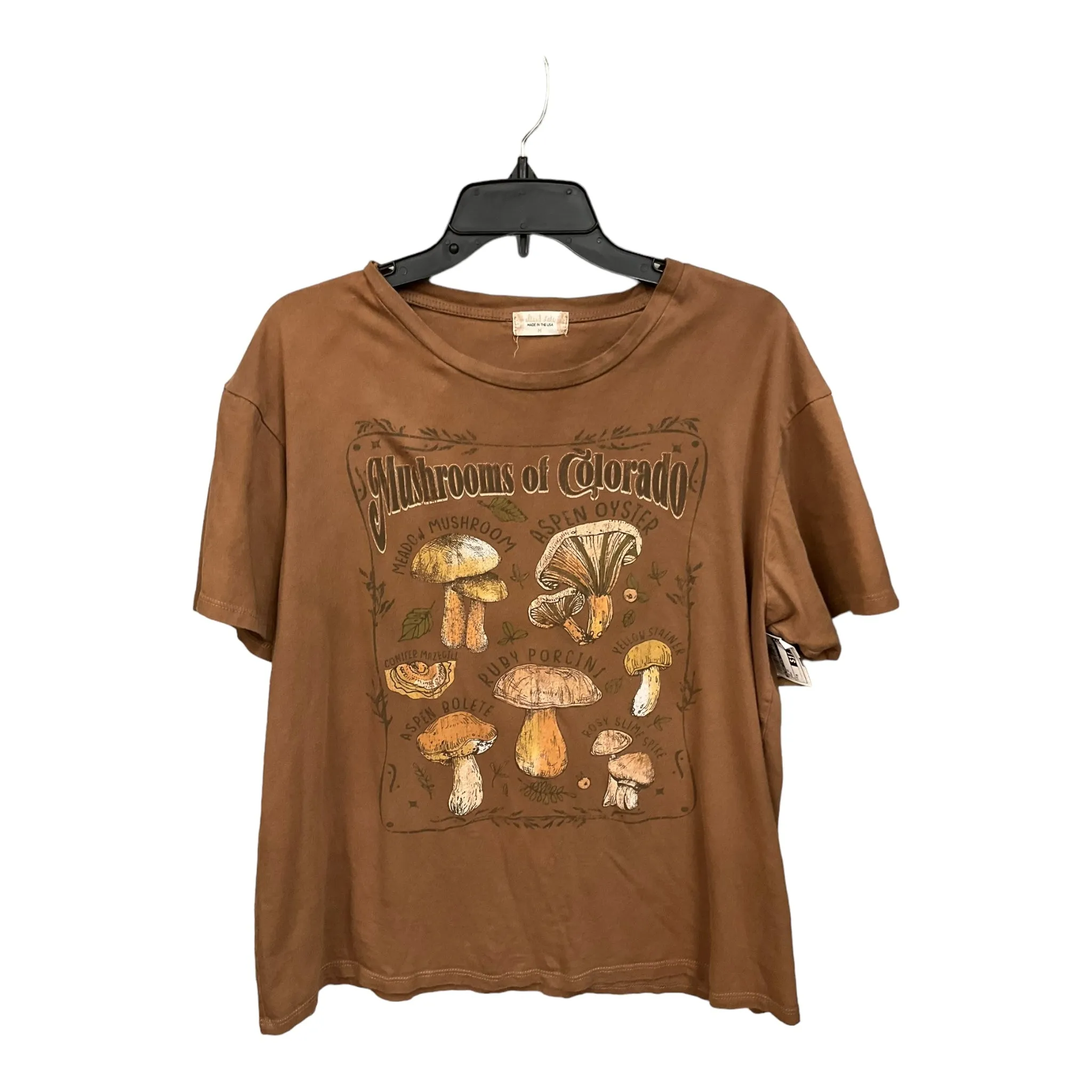 Brown Top Short Sleeve Altard State, Size M