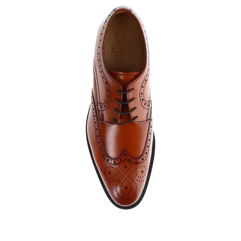 Longwood Suede Derby Brogues - LONGWOOD / 320 482