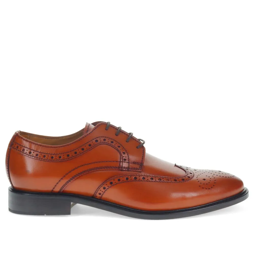 Longwood Suede Derby Brogues - LONGWOOD / 320 482