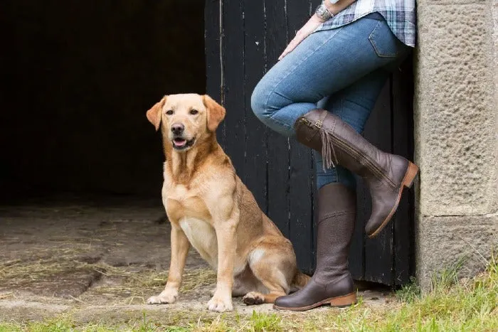 Mustang - Mid Calf Boot - Brown - Size UK 3