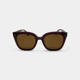 Protagonist Translucent Brown Acetate Square Frame